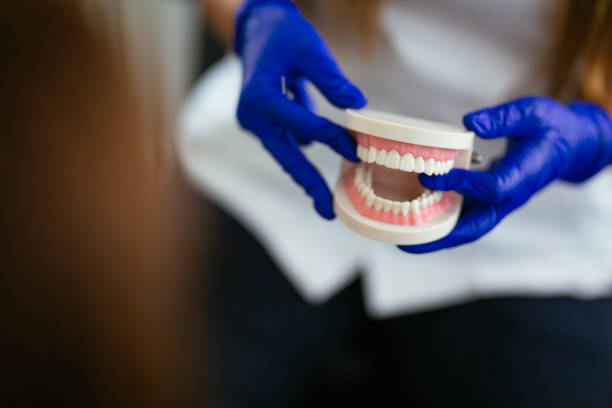 Best Dental Exams and Cleanings  in Silver Firs, WA
